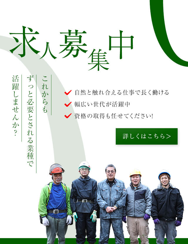 secound_image_sp